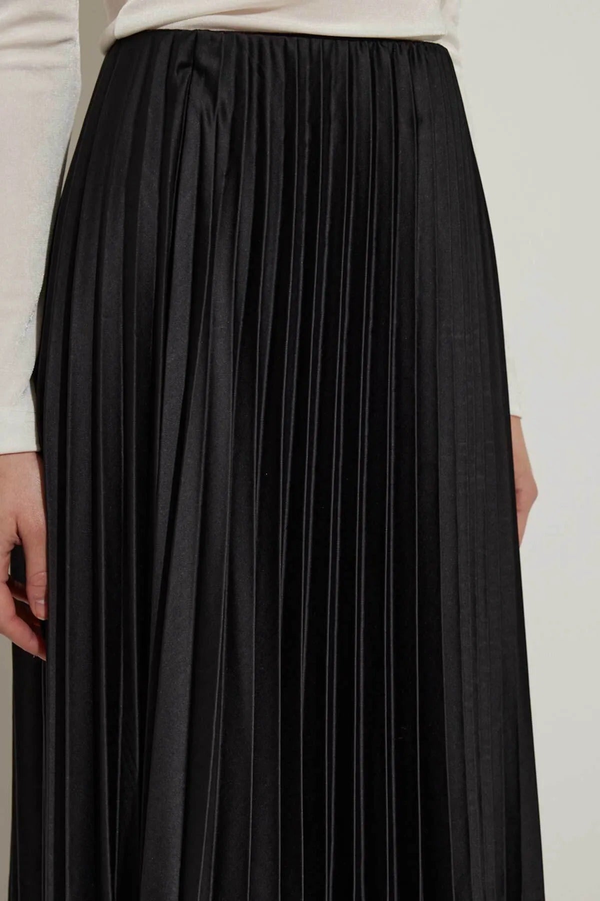 Pleated Skirt